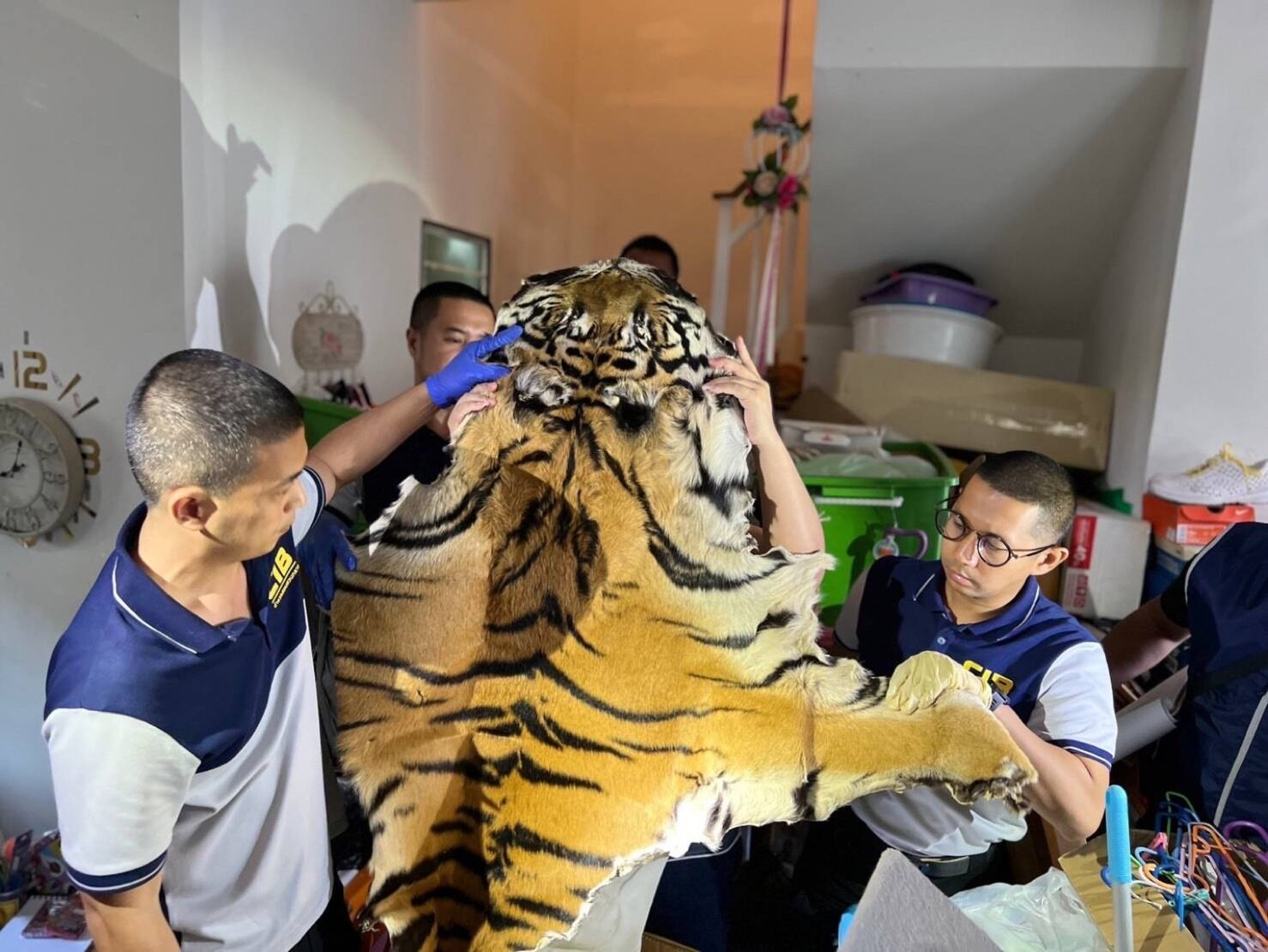 男子網售野生動物 警起獲500具死體
