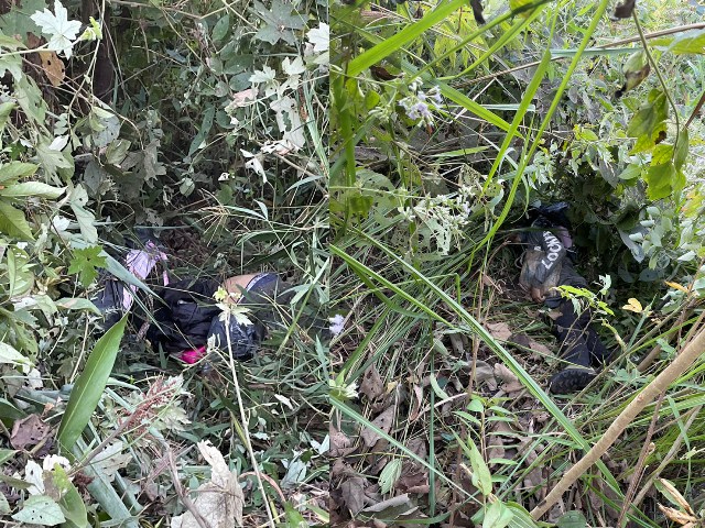 泰軍夜遇運毒馬幫 激戰擊斃13人