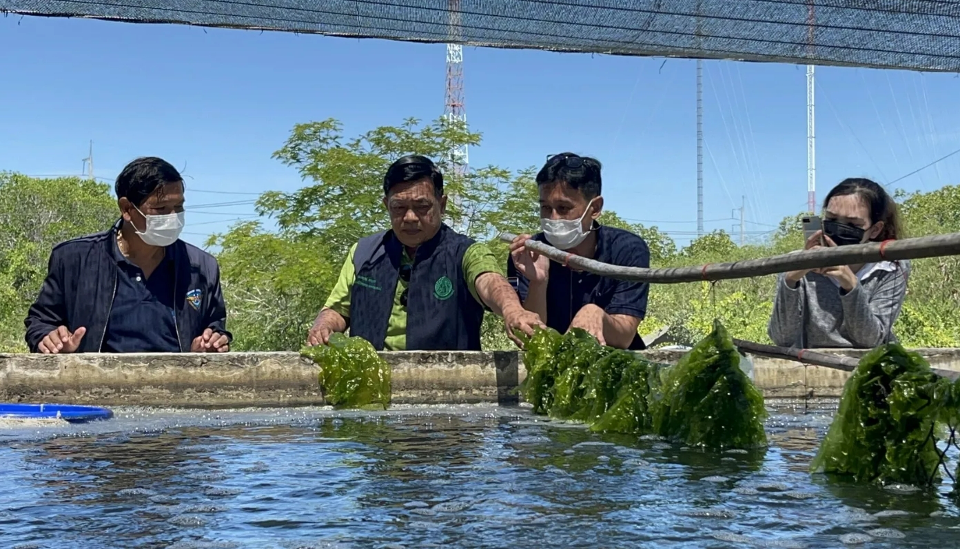 推動藍色經濟 工聯會開發未來植物「海藻」