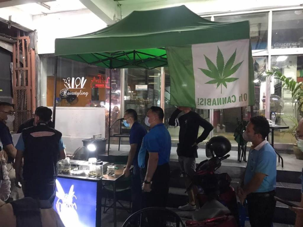 訕路大麻店生意火爆 月創收上千萬