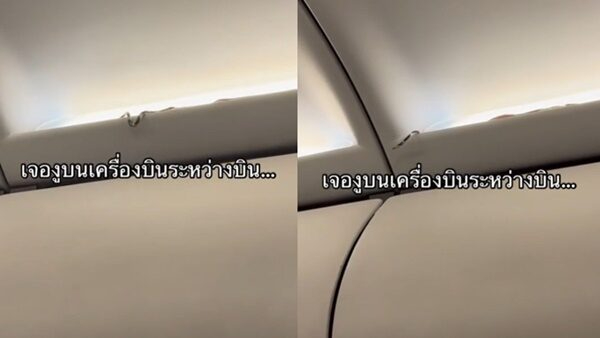蛇現機艙乘客驚嚇 網質疑機場安檢