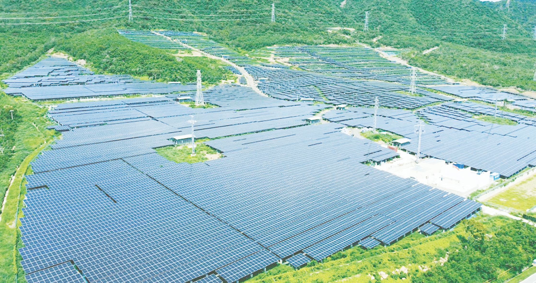 光電衝擊生態 環團:政府幫財團搶地