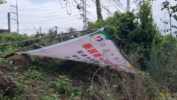  巴真工業園地區 再現中文廣告牌引憂