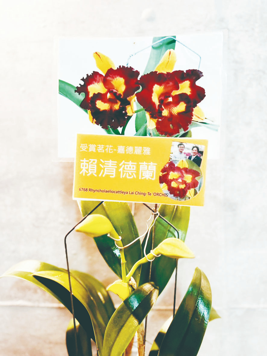業者推賴清德蘭 反應南轅北轍